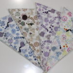 B-Animal Hide and Seek