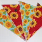 B-Two types of sunflowers